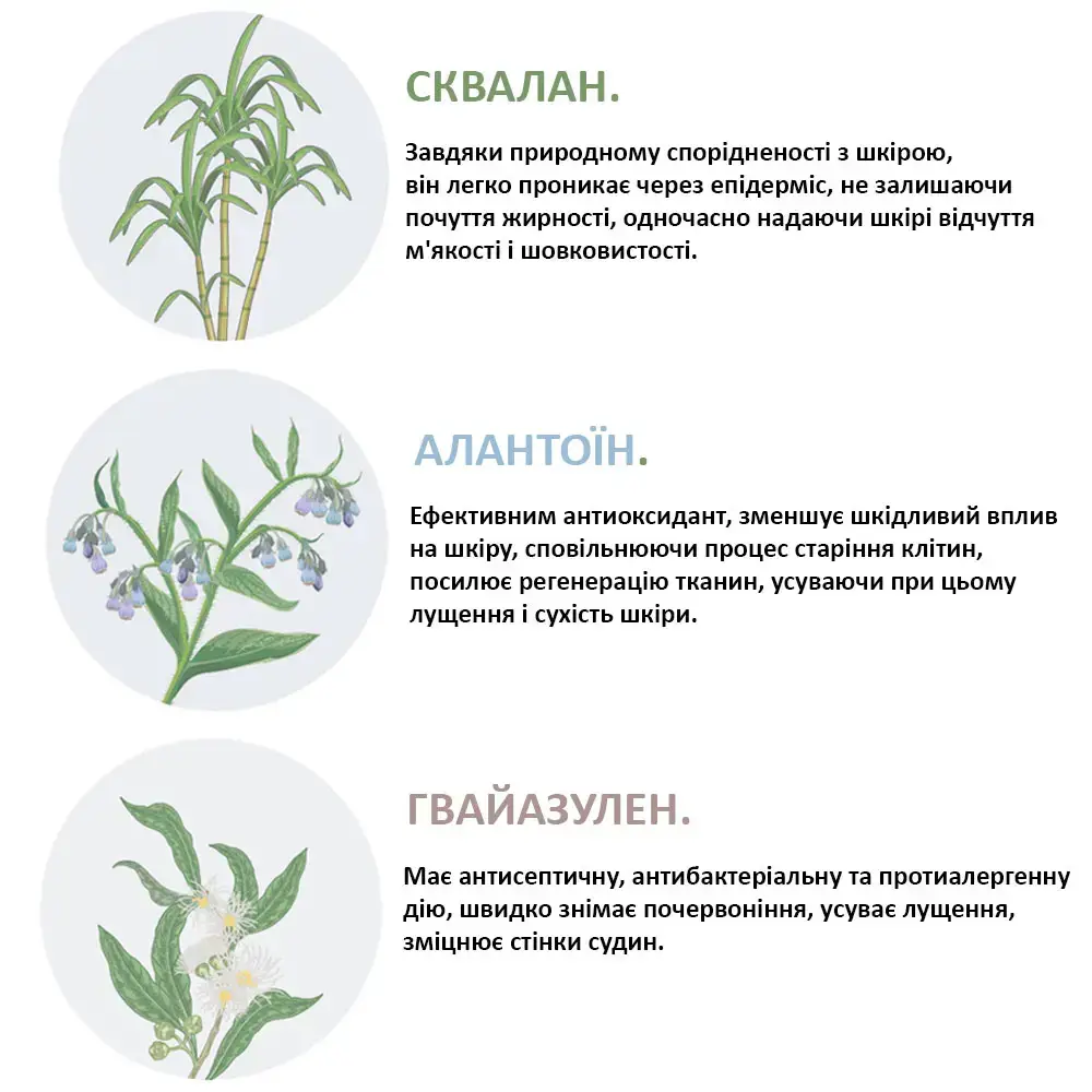 Тонер для укрепления защитного барьера с керамидами и пантенолом Needly Crossbarrier Toner, 200 мл