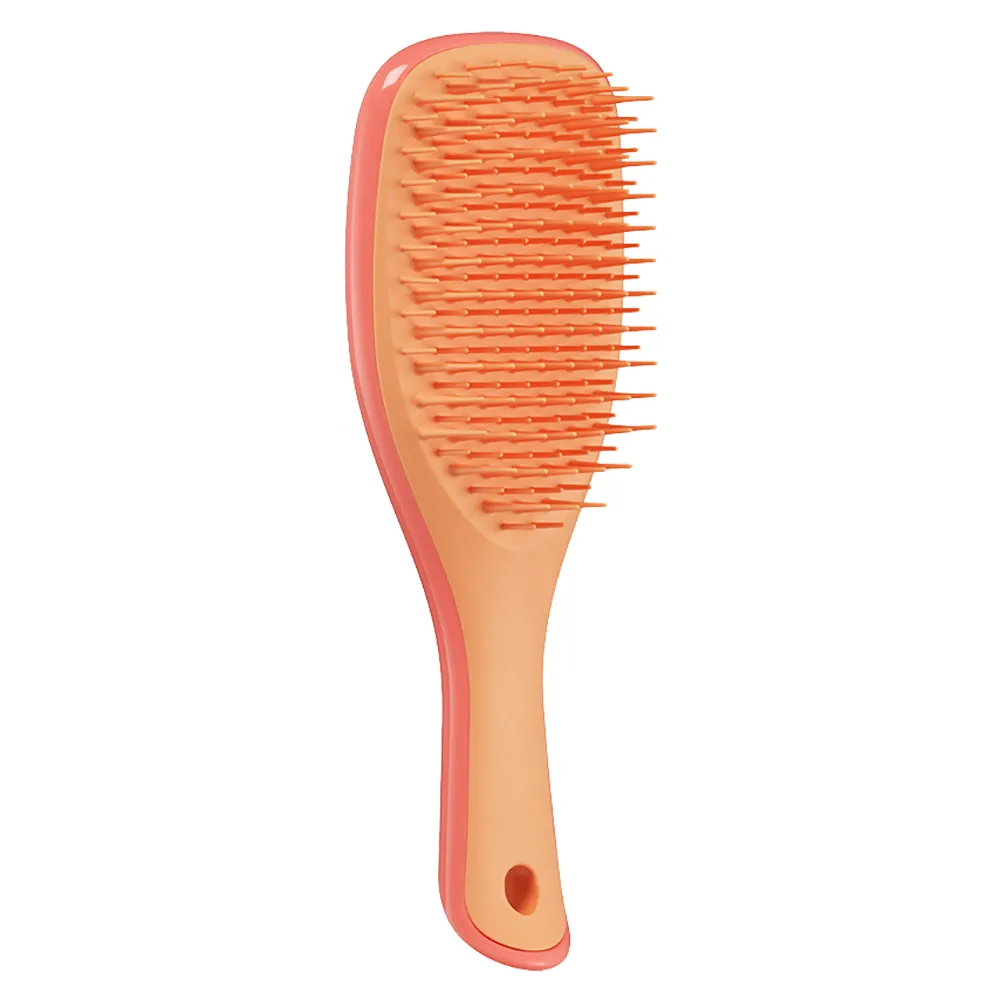 Гребінець Tangle Teezer The Wet Detangler Mini