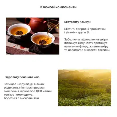 Веганский тональный ВВ-крем с экстрактом комбучи Dr.Ceuracle Vegan Kombucha Tea BB Cream, 30 мл
