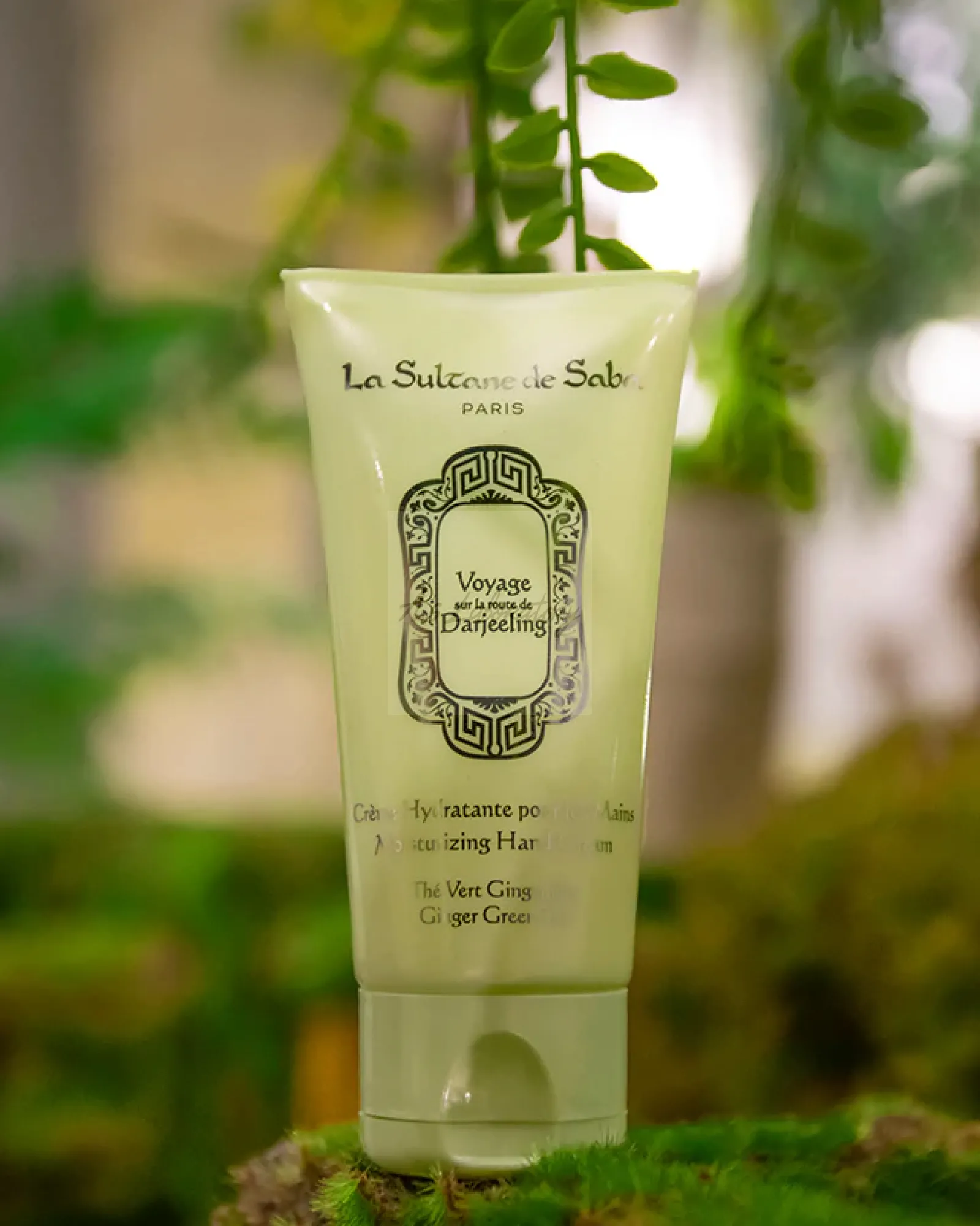 Крем для Рук Зелений Чай з Імбиром La Sultane De Saba Moisturizing Hand Cream Ginger Green Tea, 50 мл