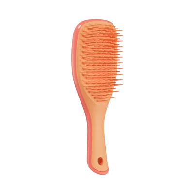 Расческа Tangle Teezer The Wet Detangler Mini - Salmon Pink & Apricot