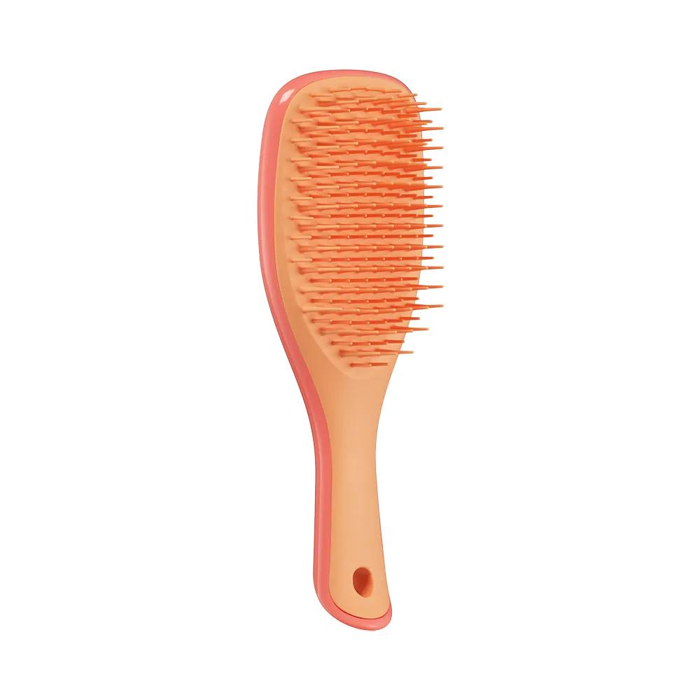 Гребінець Tangle Teezer The Wet Detangler Mini - Salmon Pink & Apricot