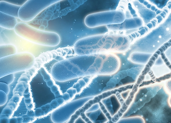 Про,пребиотики,лизаты