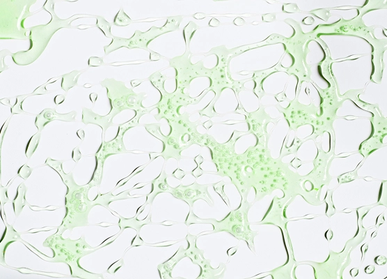 РНА кислота